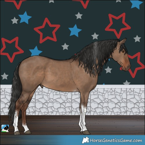 Horse Color:Liver Red Dun Tobiano 