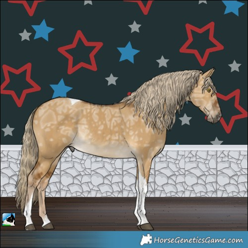 Horse Color:Chocolate Palomino Ice Dun Tobiano Rabicano