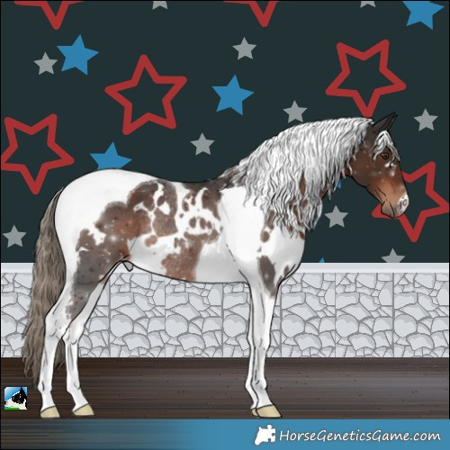 Horse Color:White Spotted Liver Chestnut Tobiano Rabicano