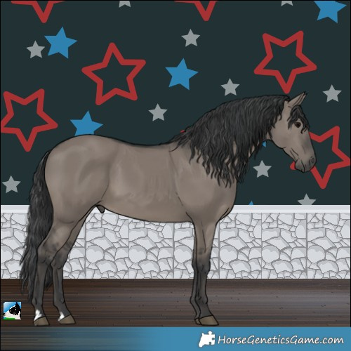 Horse Color:Grullo 