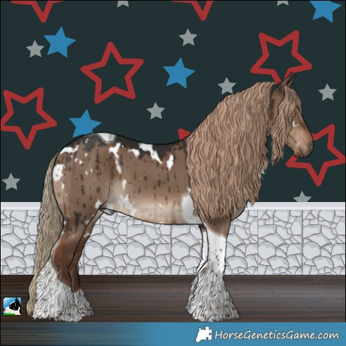 Horse Color:White Spotted Liver Red Dun Tobiano Brindle 