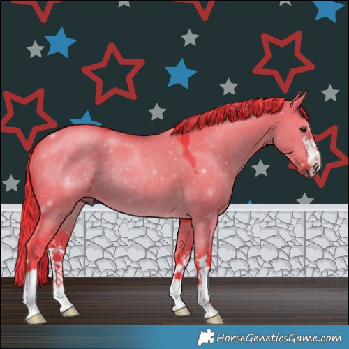 Horse Color:Watercolor Liver Red Dun