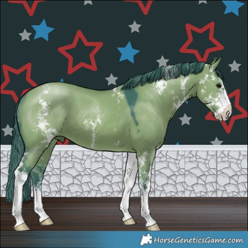 Horse Color:Watercolor Grullo Sabino 