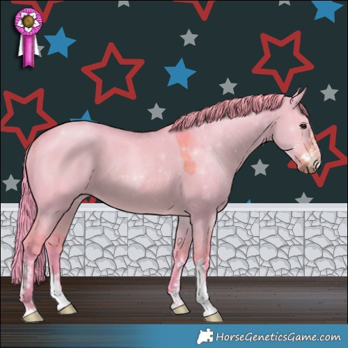 Horse Color:Watercolor Liver Red Dun