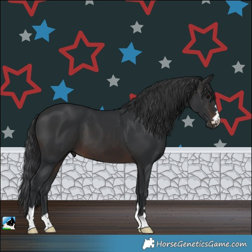 Horse Color:Brown 