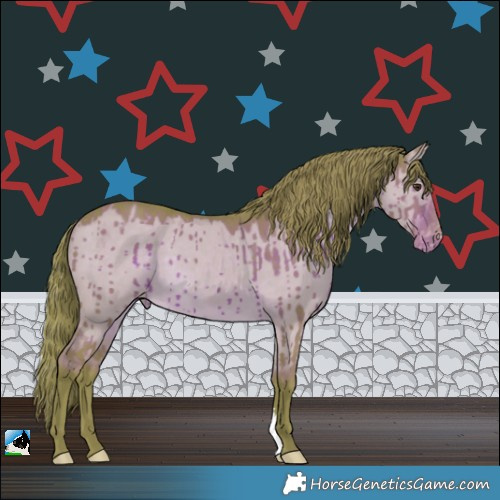 Horse Color:Watercolor Liver Red Dun Appaloosa Brindle 