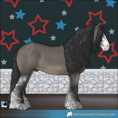 Horse Color:Grullo Sabino 
