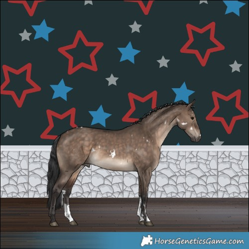 Horse Color:White Spotted Brown Dun Sabino