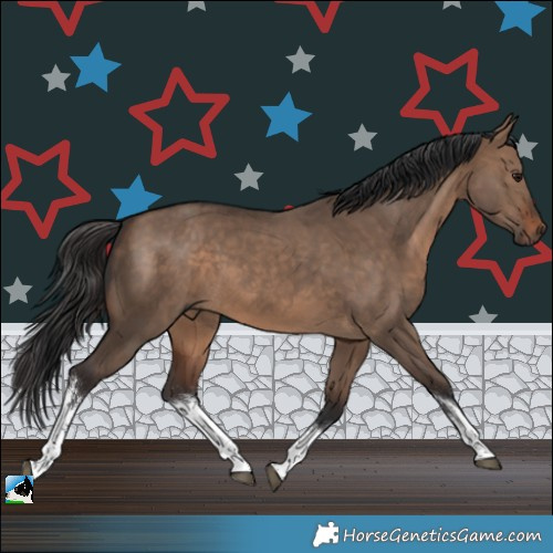 Horse Color:White Spotted Brown Dun