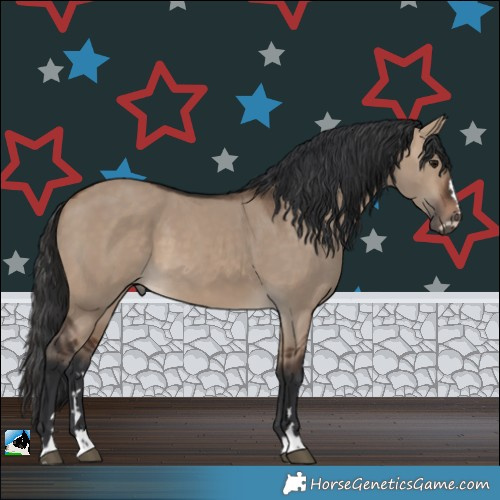 Horse Color:Brown Dun