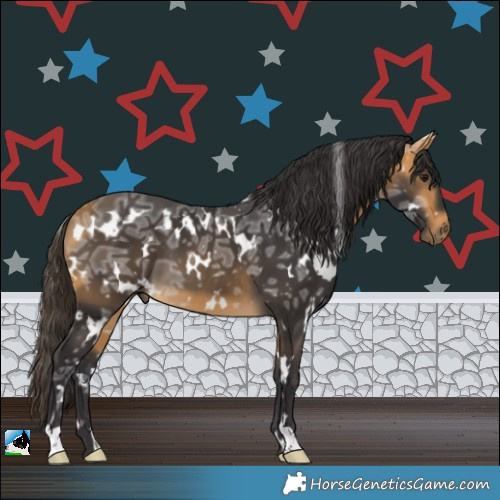 Horse Color:White Spotted Buckskin Ice