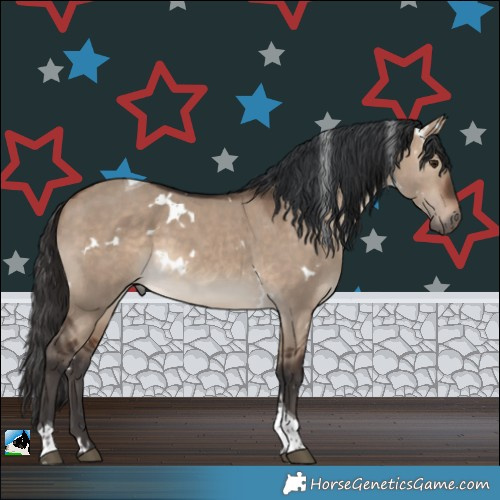 Horse Color:White Spotted Brown Dun Tobiano 