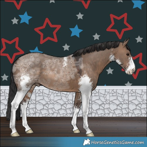 Horse Color:Brown Ice Dun Sabino