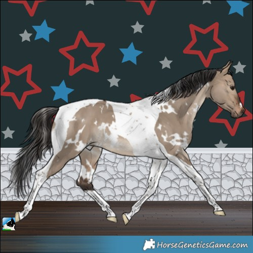 Horse Color:White Spotted Brown Dun Tobiano