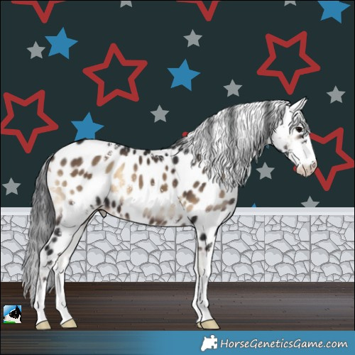 Horse Color:Brown Onyx Sabino Leopard