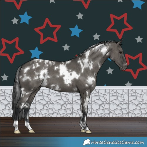 Horse Color:White Spotted Grullo Varnish Brindle 