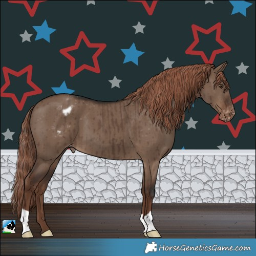 Horse Color:Liver Red Dun Varnish Brindle