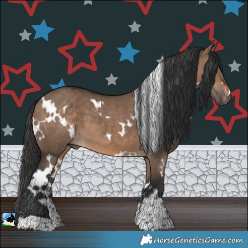 Horse Color:White Spotted Brown Dun Sabino