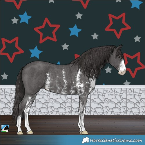 Horse Color:Smoky Black Sabino Rabicano