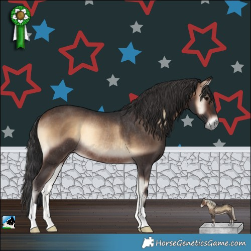 Horse Color:Brown Onyx Rabicano