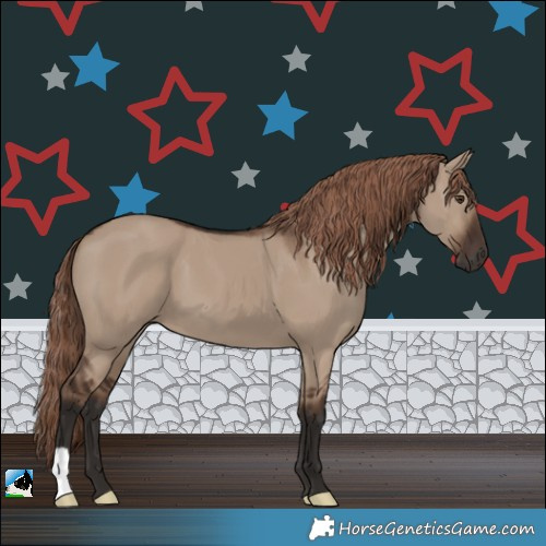 Horse Color:Liver Red Dun 
