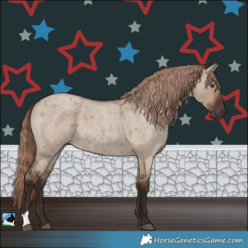 Horse Color:Liver Red Dun Roan 