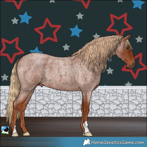 Horse Color:Red Roan 
