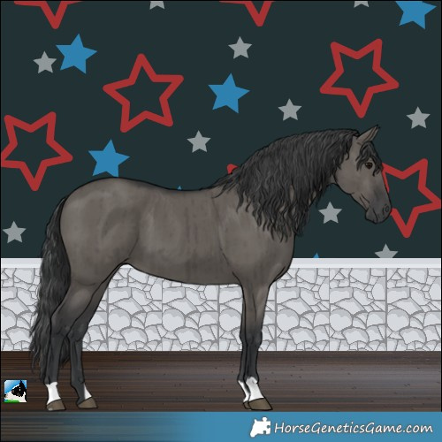 Horse Color:Grullo Brindle 