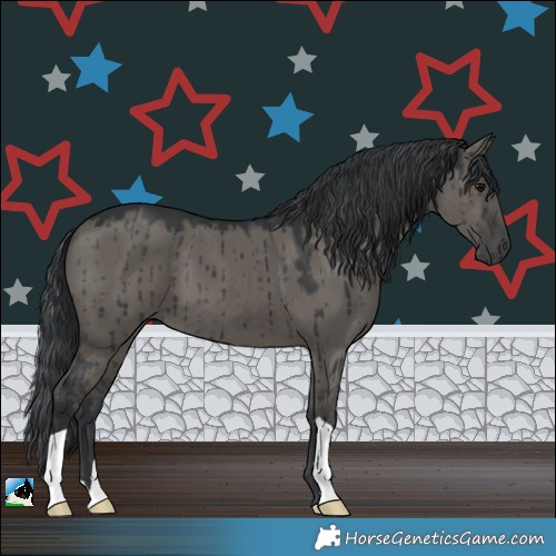 Horse Color:Grullo Brindle
