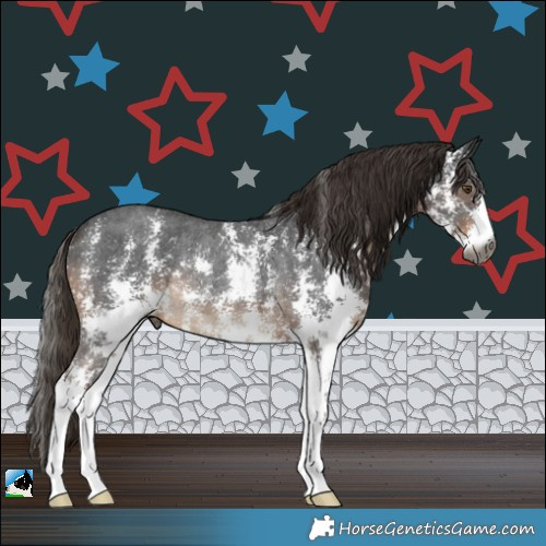 Horse Color:Gray Liver Chestnut Sabino Rabicano 