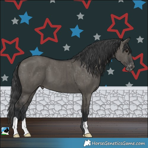Horse Color:Grullo Appaloosa Brindle