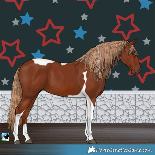 Horse Color:Chestnut Tobiano
