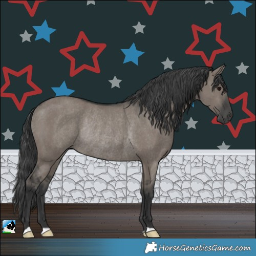 Horse Color:Grullo Rabicano 