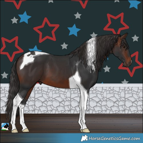Horse Color:Brown Tobiano 