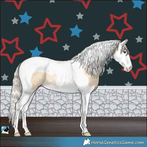 Horse Color:Palomino Roan Dun Splash Tobiano Rabicano
