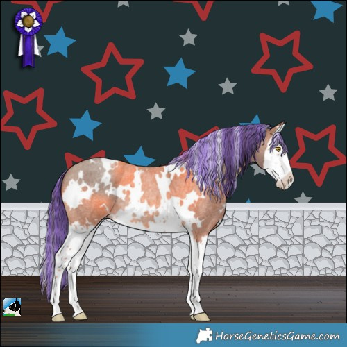 Horse Color:Painted White Spotted Sable Champagne Roan Splash