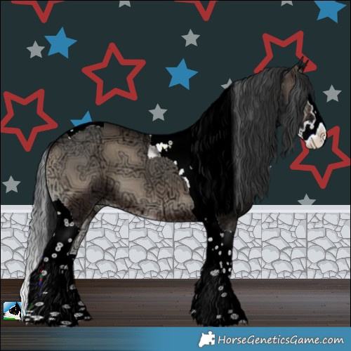 Horse Color:Blue Onyx Ice Splash Tobiano