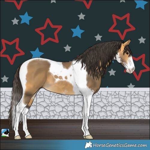 Horse Color:Buckskin Sabino Tobiano 