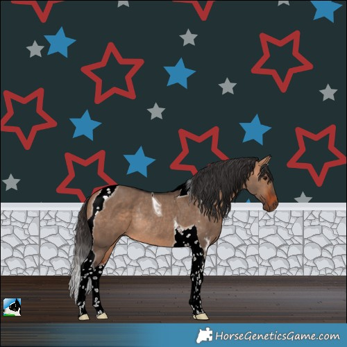 Horse Color:Bay Dun Tobiano Rabicano 