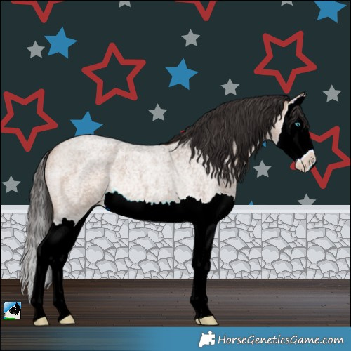 Horse Color:Bay Roan Dun Splash Rabicano