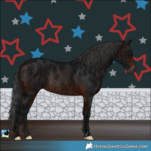 Horse Color:Brown Ice Rabicano
