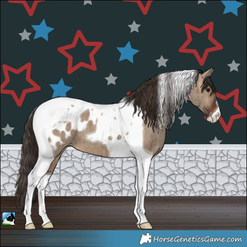 Horse Color:Brown Dun Tobiano Blanket Brindle 
