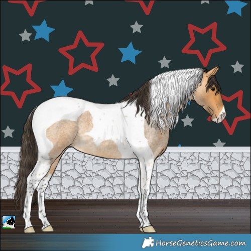 Horse Color:Buckskin Roan Tobiano 