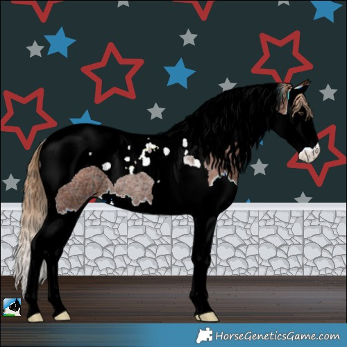 Horse Color:Red Ice Roan Splash Tobiano Rabicano