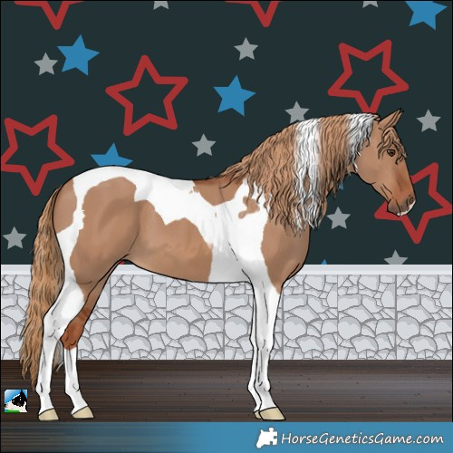 Horse Color:Red Dun Tobiano 