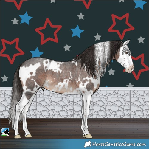 Horse Color:White Spotted Liver Red Roan Splash 