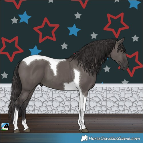 Horse Color:Smoky Grullo Tobiano 