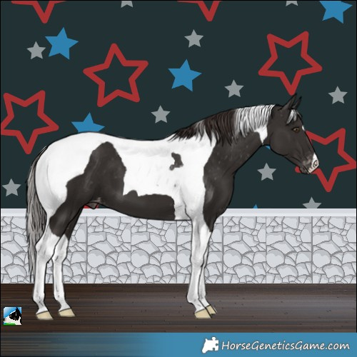 Horse Color:Liver Chestnut Tobiano Varnish