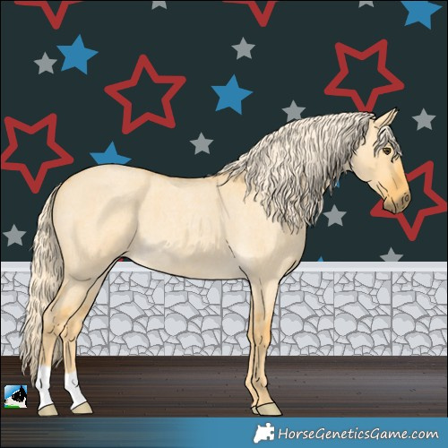 Horse Color:Palomino Roan Dun