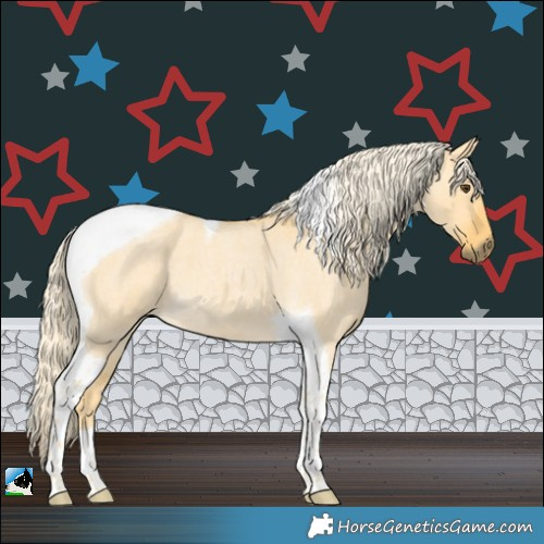 Horse Color:Palomino Roan Dun Tobiano